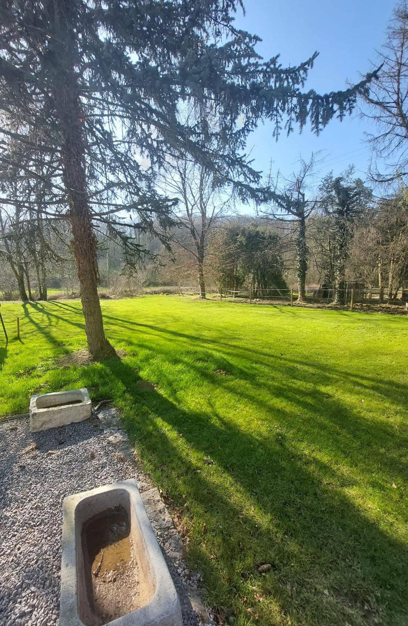 Au Doux Chardon Bed & Breakfast Durbuy Bagian luar foto