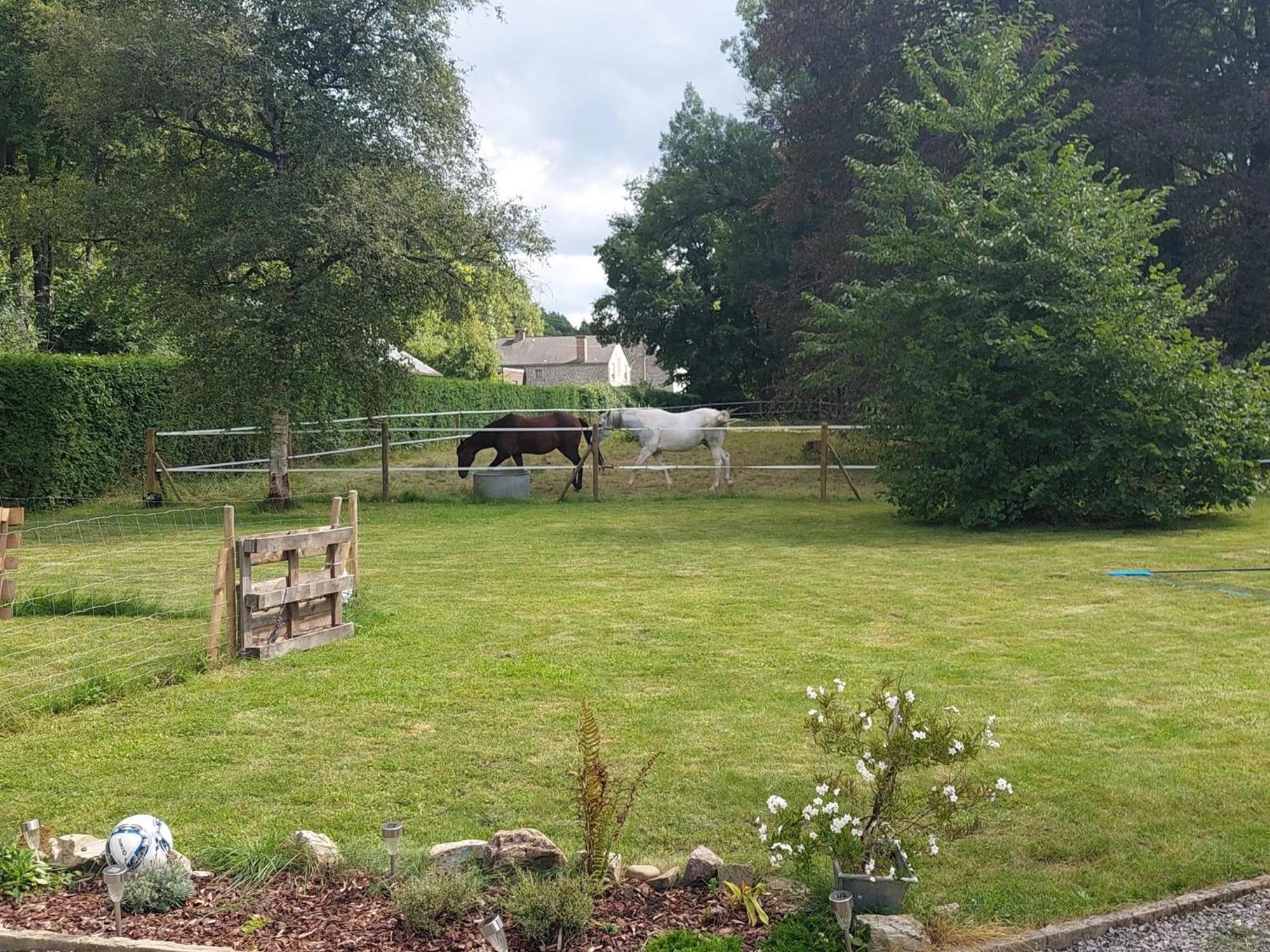Au Doux Chardon Bed & Breakfast Durbuy Bagian luar foto